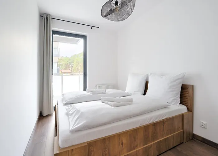 Morzlive, Sun & Snow