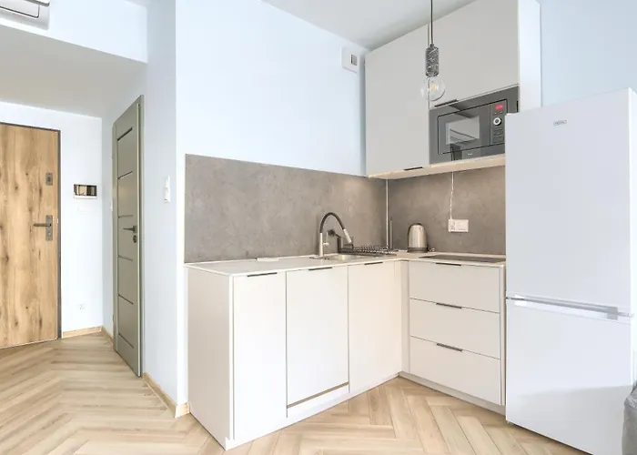 Morzlive, Sun & Snow *