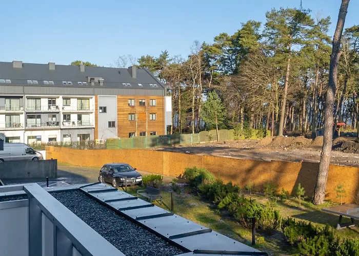 Morzlive, Sun & Snow